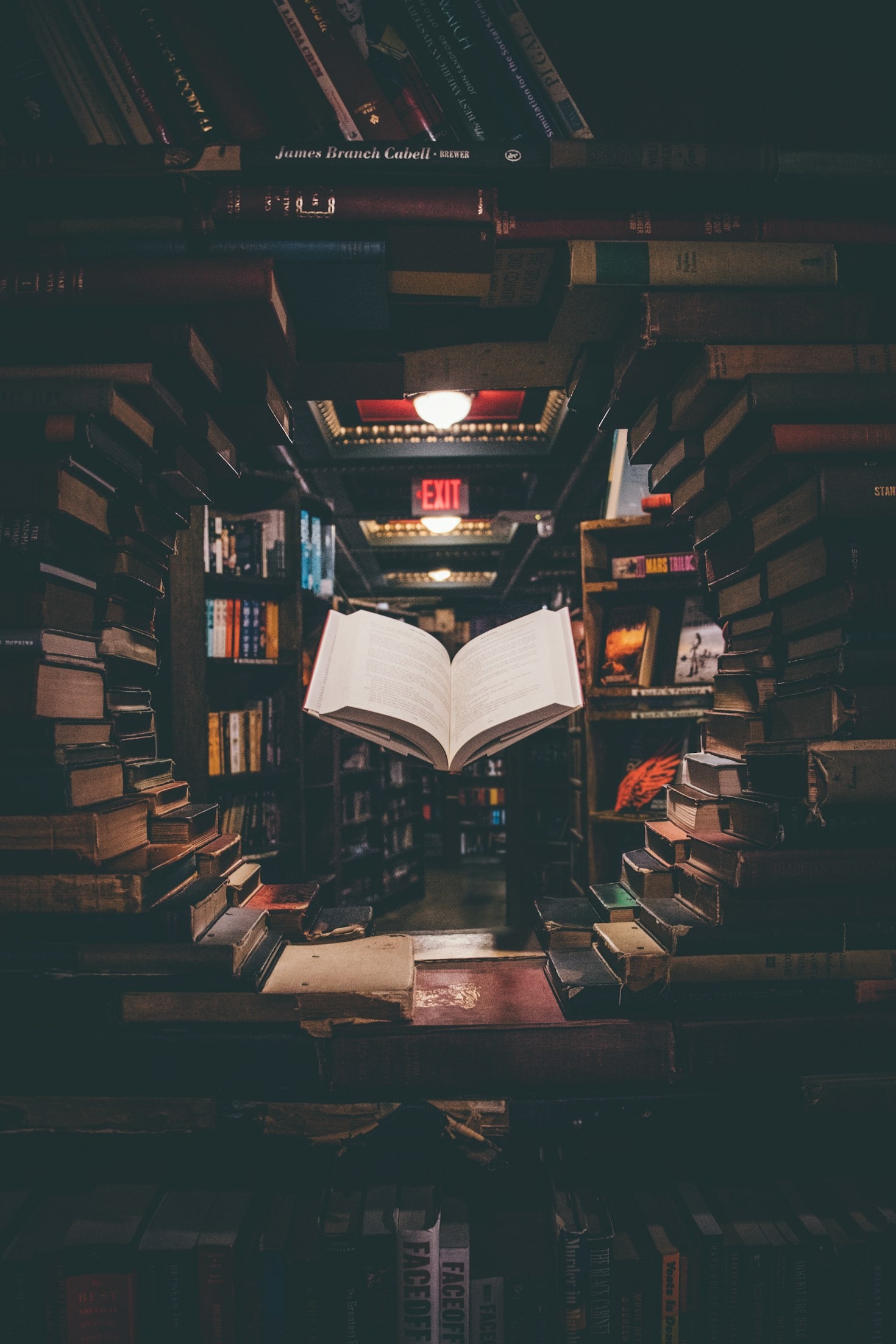 Il Viaggio di un Libro: Dall’Idea alla Pubblicazione